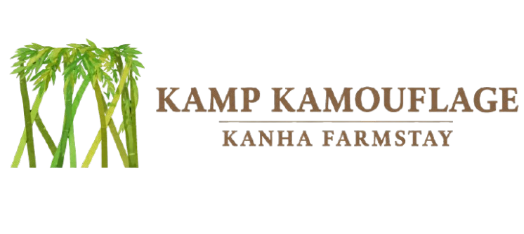 logo-icon